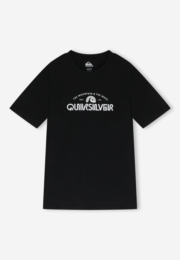 Футболка мужская Quiksilver Ev Vista, Черный