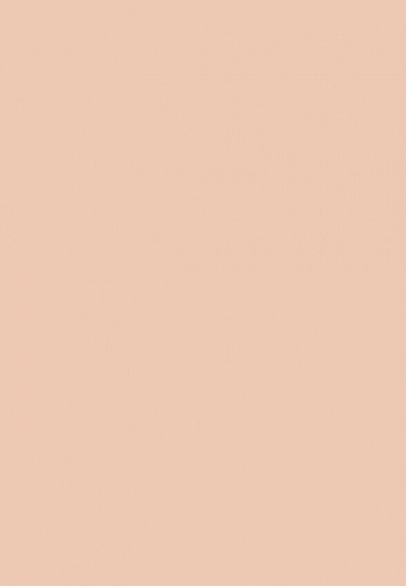 Праймер для лица Revolution