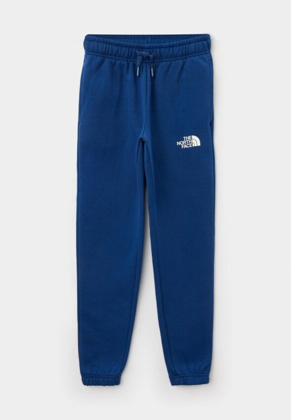 Брюки спортивные The North Face