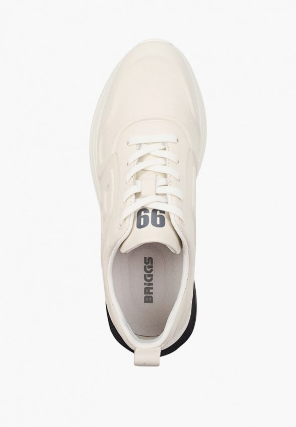 Кроссовки Briggs