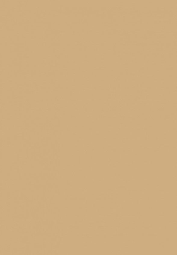 Жидкие тени для век Influence Beauty