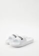 Сланцы Lacoste3  - превью