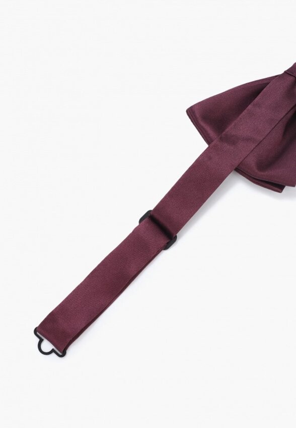 Бабочка Dolce&Gabbana