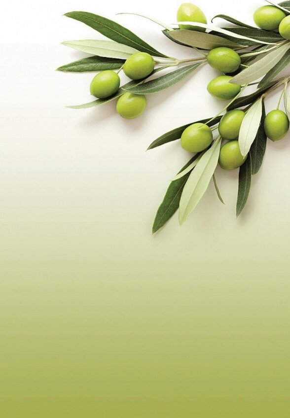 Шторы Comfy Way