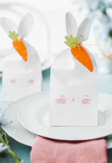 Пакетики Пати Деко (Party Deco) 