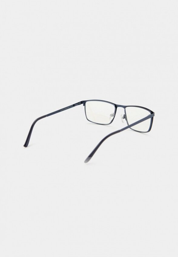 Очки для компьютера Lectio Risus