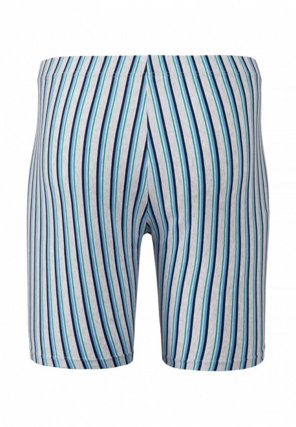 Трусы Lowry Collection