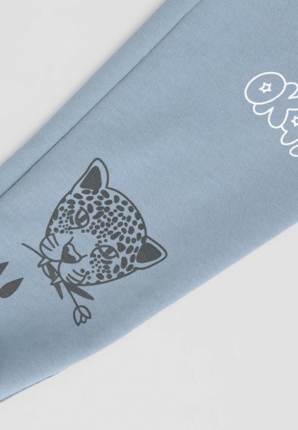 Брюки спортивные Bossa Nova