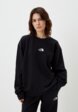 Свитшот The North Face1  - превью