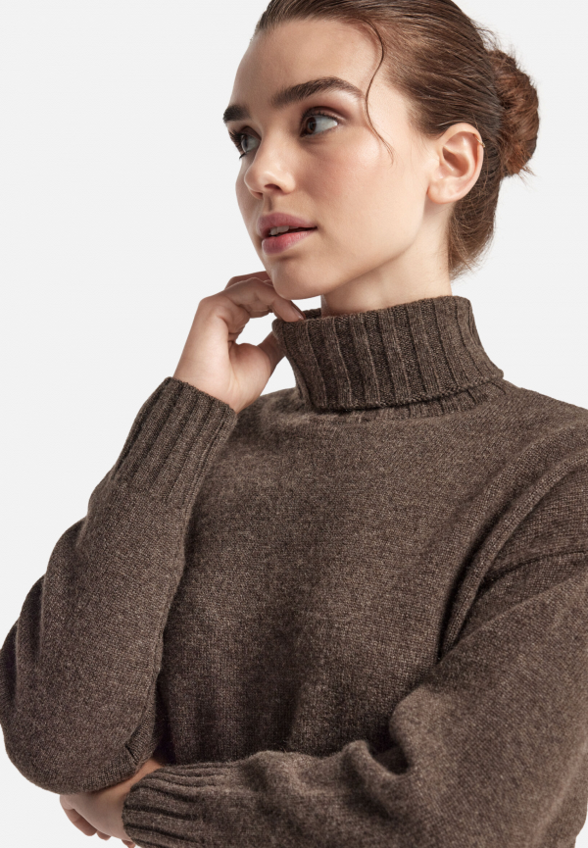 Водолазка Falconeri