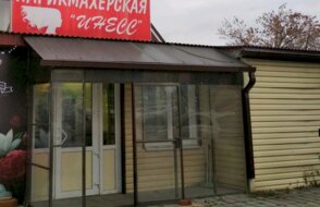 Инесс