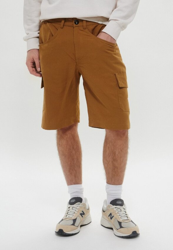 Шорты The North Face