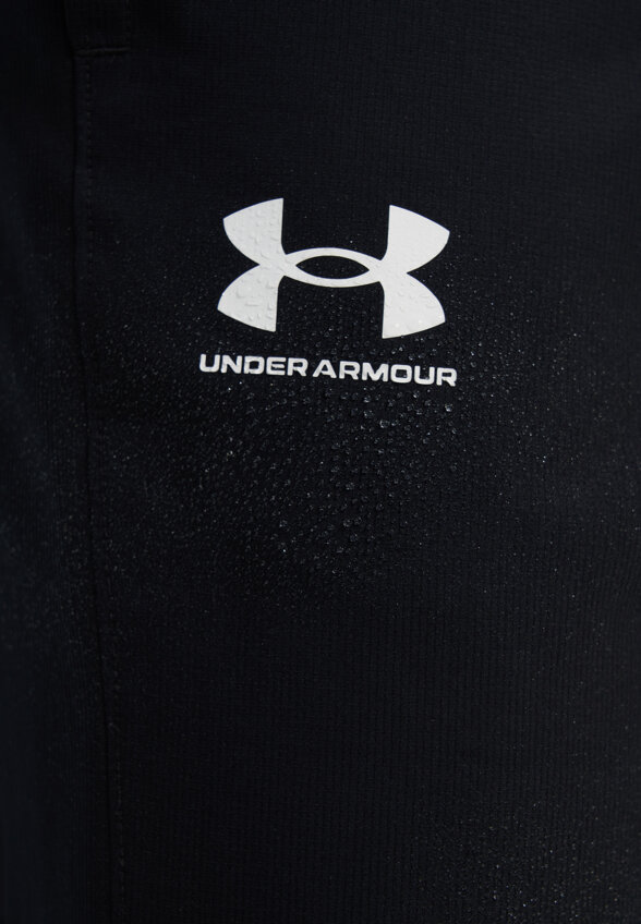 Брюки мужские Under Armour Rival, Черный