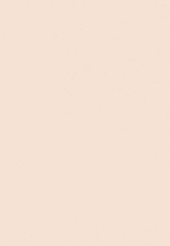 Пудра компактная Zeesea