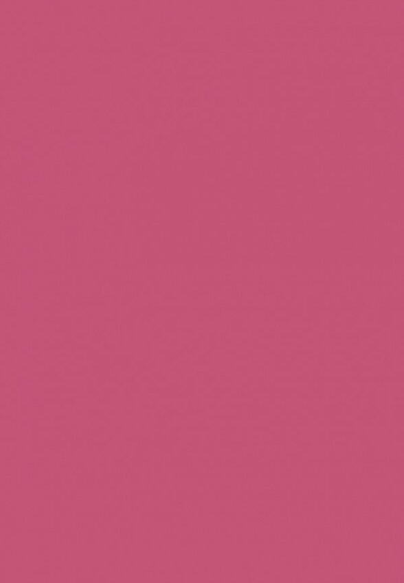 Помада Stellary