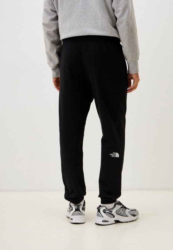 Брюки спортивные The North Face