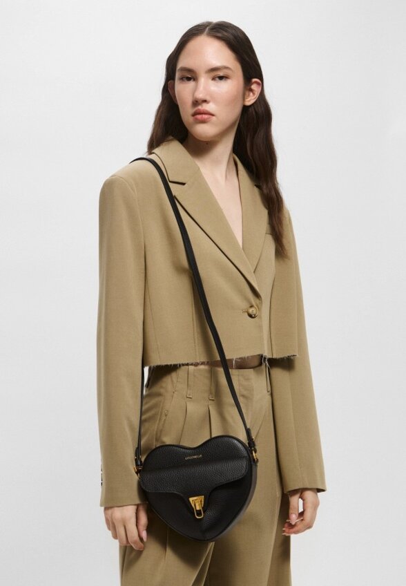 Сумка Coccinelle