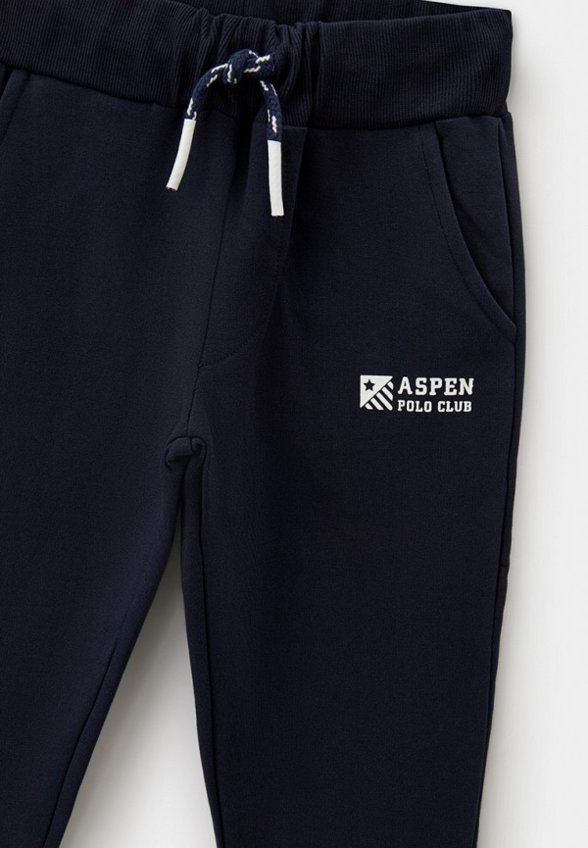 Брюки спортивные Aspen Polo Club