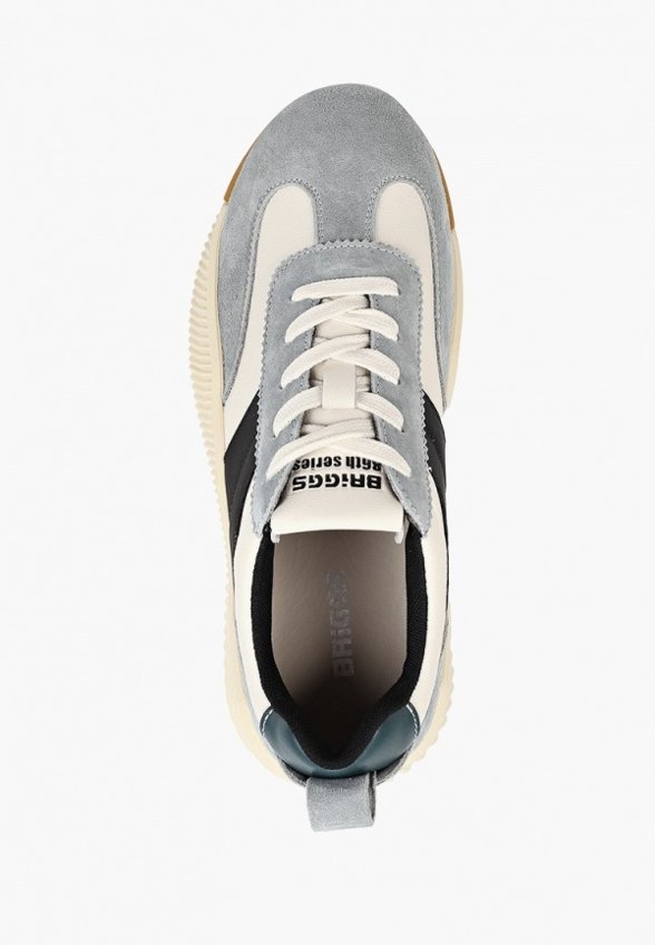 Кроссовки Briggs