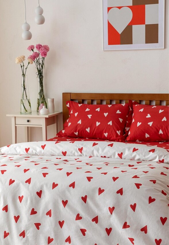 Постельное белье Евро Cozy Home