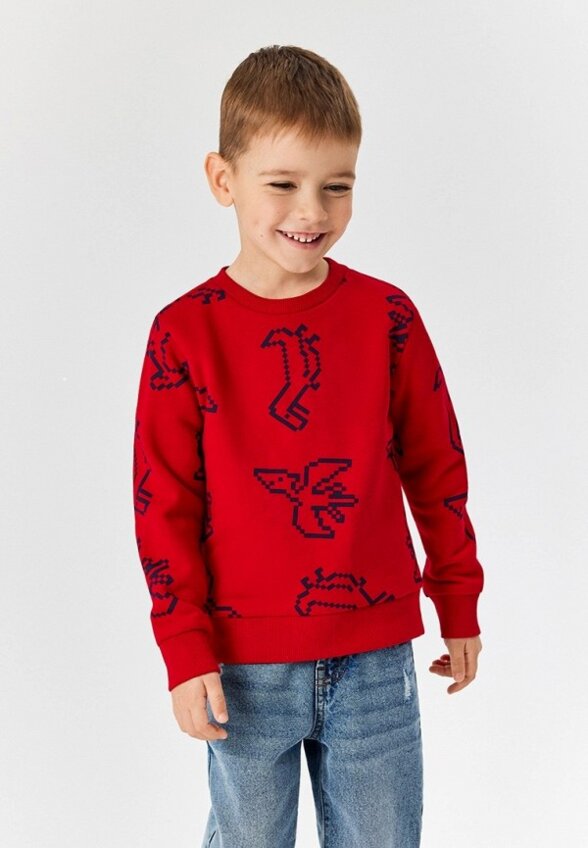 Свитшот Acoola