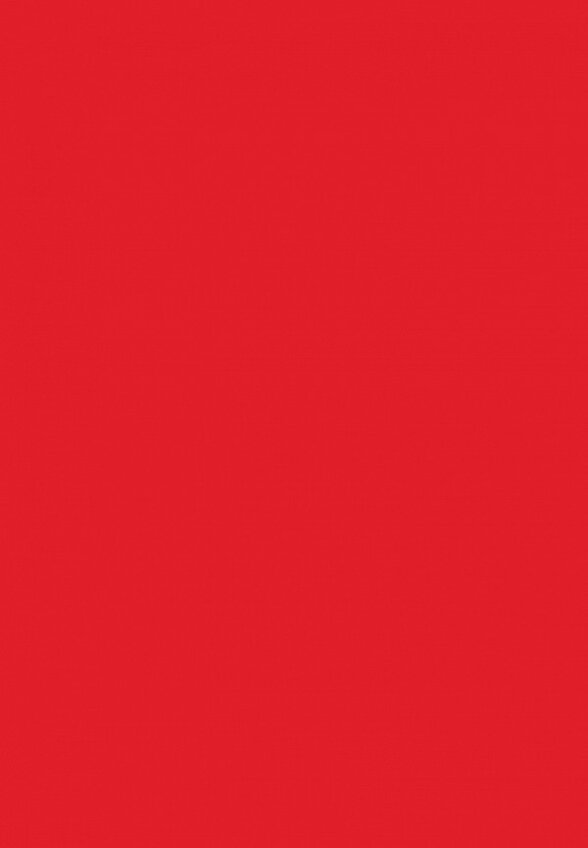 Бальзам оттеночный для губ Arive Makeup