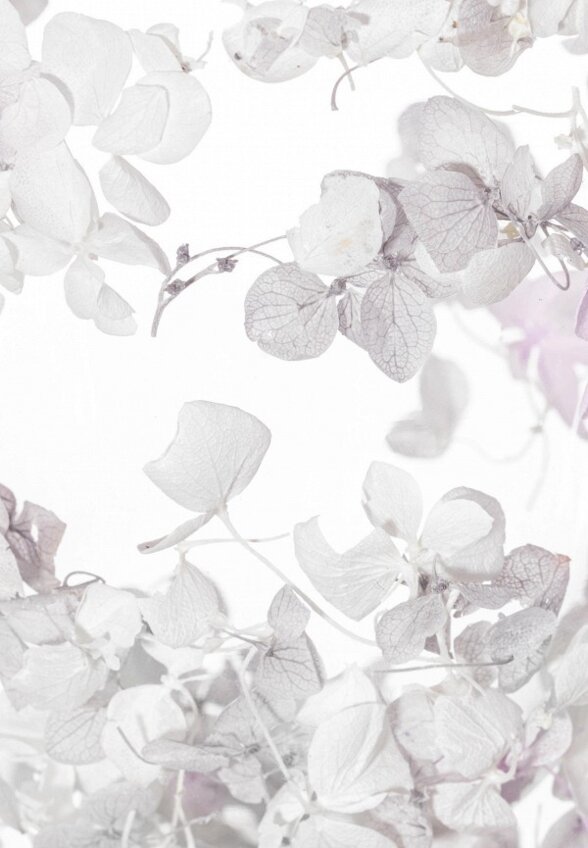 Набор кружек Elan Gallery