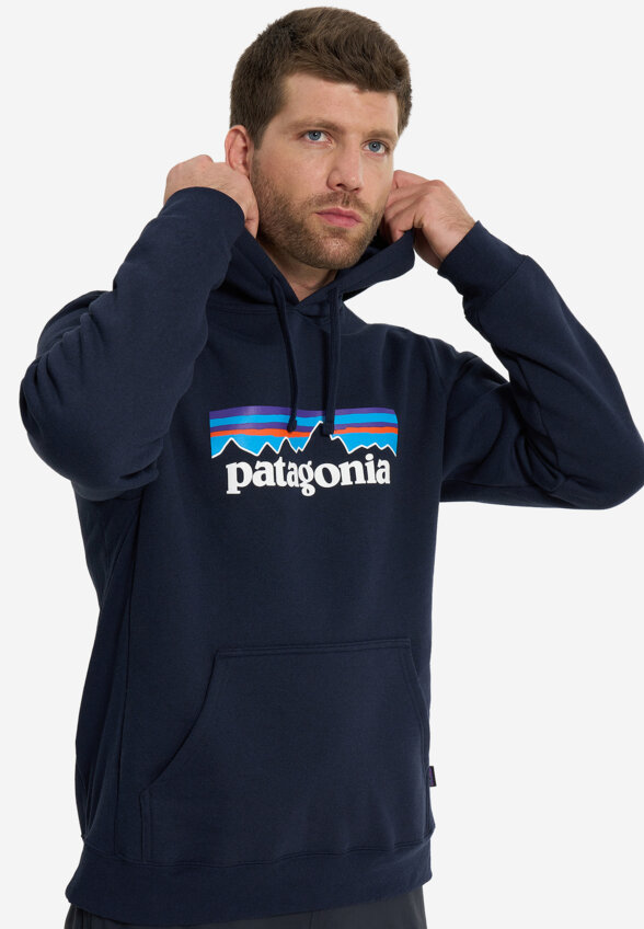 Худи мужское Patagonia Logo Uprisal, Синий