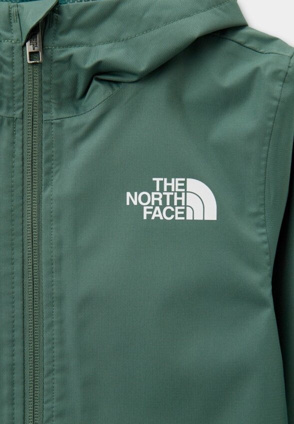 Ветровка The North Face