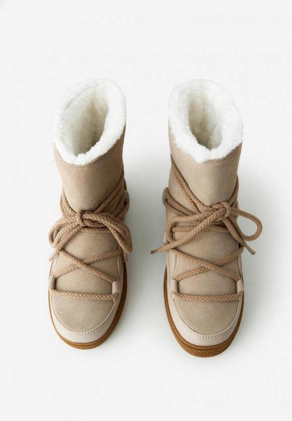 Луноходы Wysh