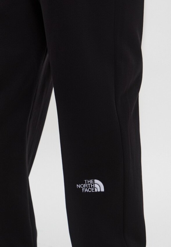 Брюки спортивные The North Face