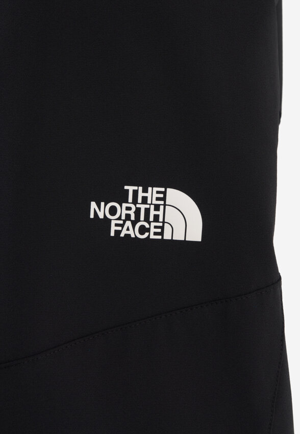 Брюки мужские The North Face Alpine Ridge, Черный