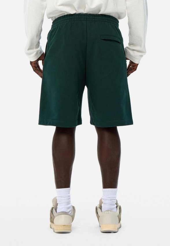 Шорты спортивные Frht