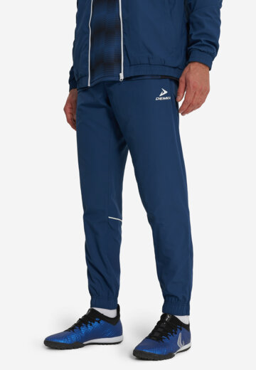 Брюки мужские Demix, Синий