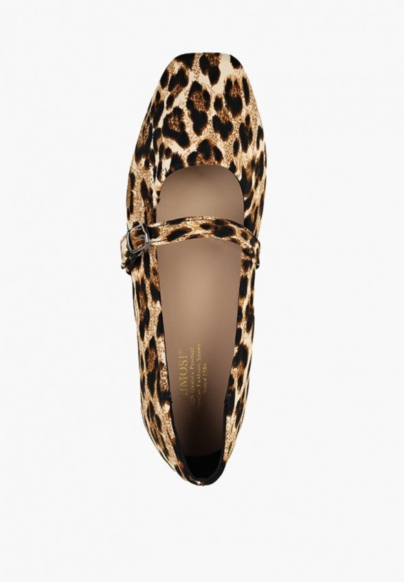 Балетки Aimosi