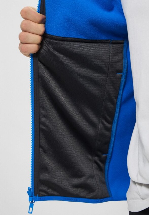 Олимпийка The North Face