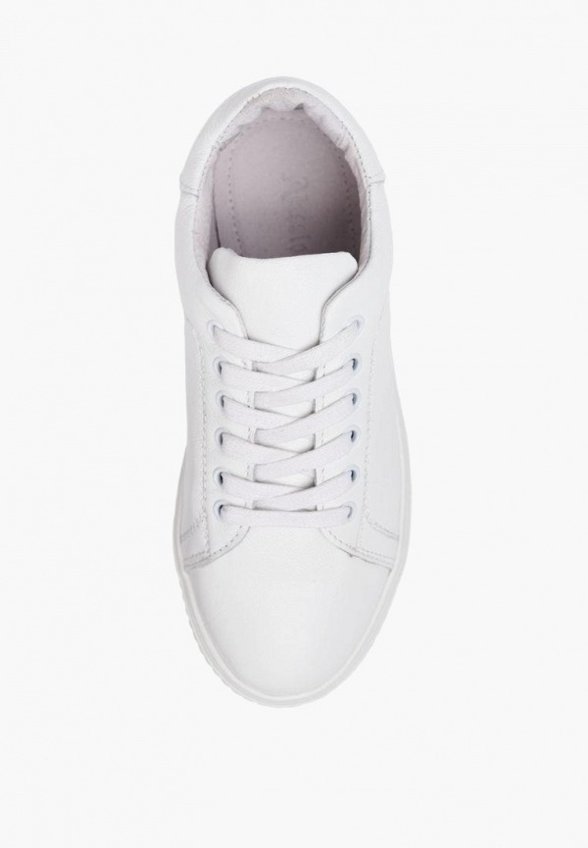 Кеды Alessio Nesca