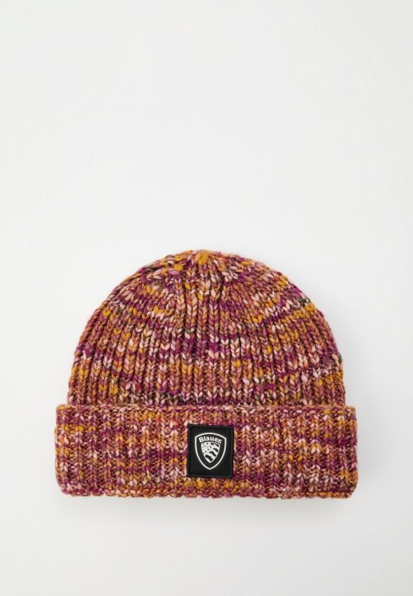 Шапка Blauer USA