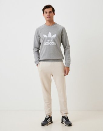 Свитшот adidas Originals мужчинам