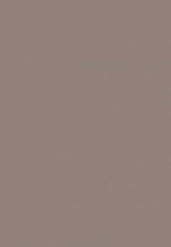 Помада для бровей Limoni