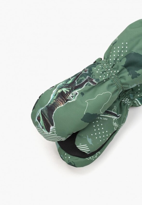 Варежки Arctland