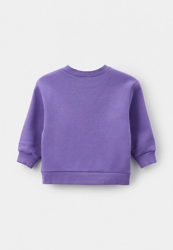 Свитшот Pelican