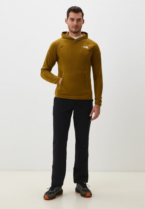 Худи The North Face