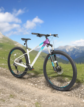 Велосипед горный Polygon Xtrada 7 29", Мультицвет