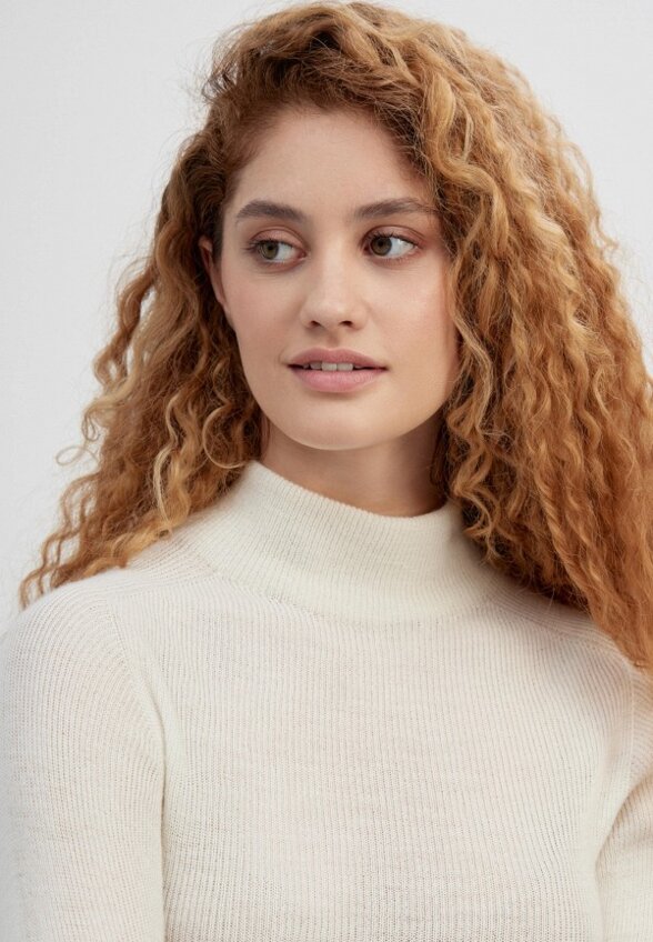 Водолазка Elis