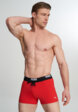 Плавки-шорты мужские PUMA Swim, Красный1  - превью