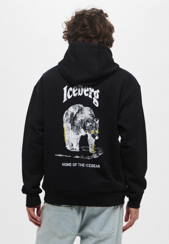Худи Iceberg