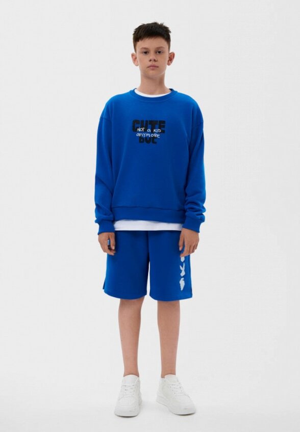 Свитшот Nikasport