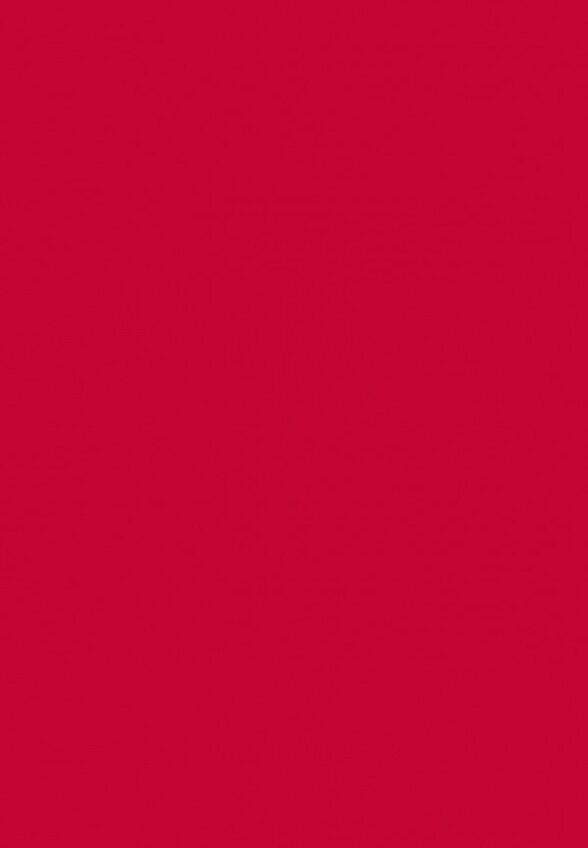 Лак для ногтей Anny