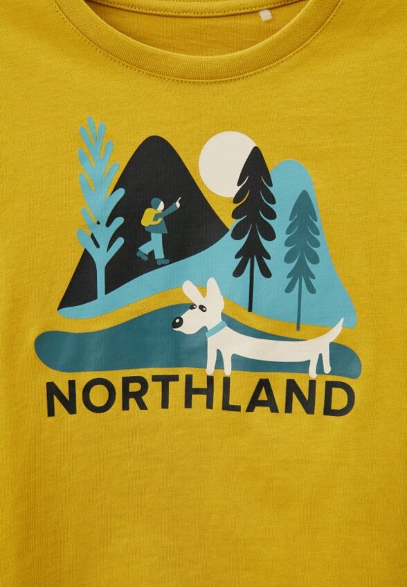 Футболка Northland